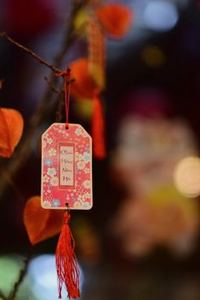 ngân sách chơi tài xỉu